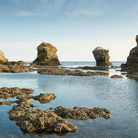 Bord De Mer, 6 Places, à 250 M, Dune, Parking Gratuit, Rez De Chaussée Surélevé Appartamento *