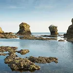 Bord De Mer, 6 Places, A 250 M, Dune, Parking Gratuit, Rez De Chaussee Sureleve Apartment *