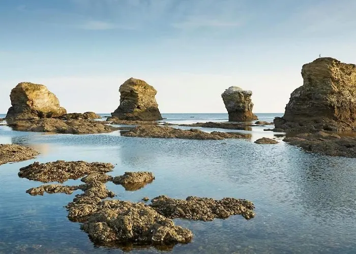 Bord De 6 Places Appartement *